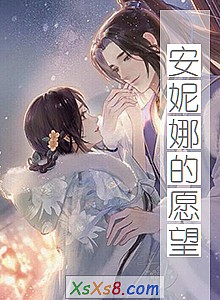 《安妮娜的愿望》小说封面