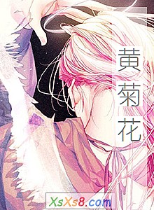 《黄菊花》小说封面