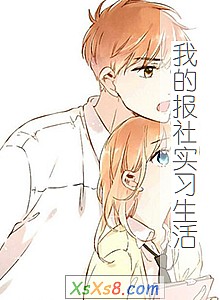 《我的报社实习生活》小说封面