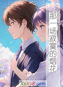 《那一场寂寞的烟花》小说封面