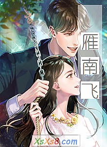 《雁南飞》小说封面