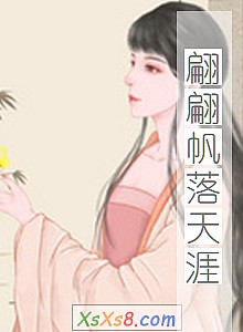 《翩翩帆落天涯》小说封面