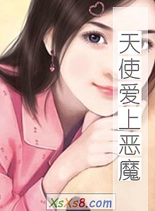 《天使爱上恶魔》小说封面