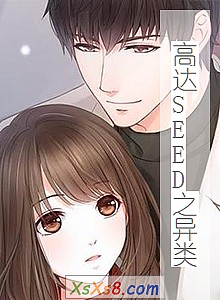 ���ߴ�SEED֮���ࡷС˵����