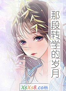 《那段转学的岁月》小说封面