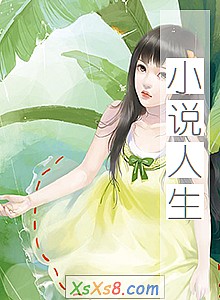 《小说人生》小说封面