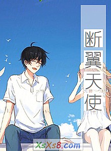 《断翼天使》小说封面