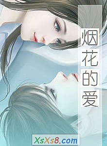 《烟花的爱》小说封面
