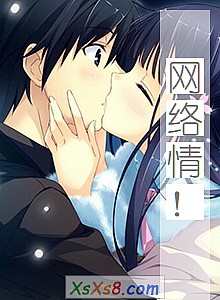 《网络情!》小说封面