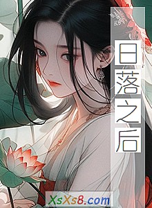 《日落之后》小说封面