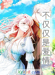 《不仅仅是爱情》小说封面