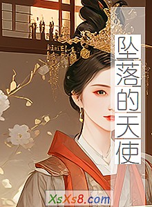 《坠落的天使》小说封面