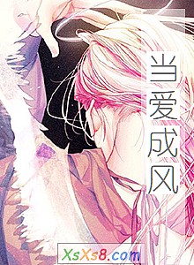 《当爱成风》小说封面