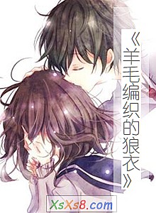 《羊毛编织的狼衣》小说封面