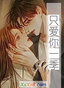 《只爱你一季》小说封面
