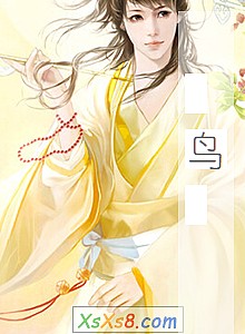 《鸟》小说封面