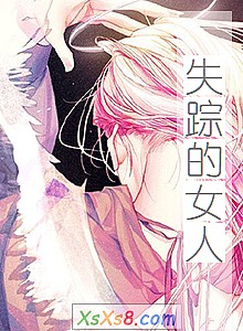 《失踪的女人》小说封面