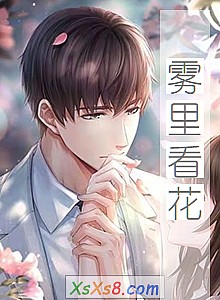 《雾里看花》小说封面