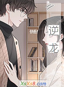 《逆龙》小说封面