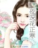 《夜深花正寒》小说封面