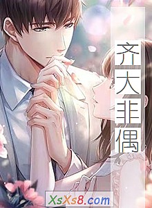 《齐大非偶》小说封面