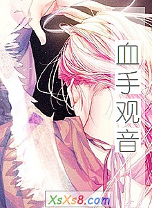 《血手观音》小说封面