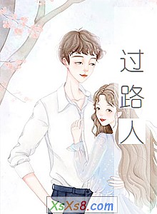 《过路人》小说封面