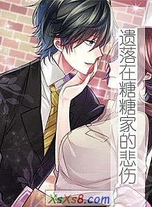 《遗落在糖糖家的悲伤》小说封面