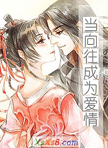 《当向往成为爱情》小说封面