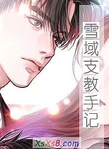 《雪域支教手记》小说封面