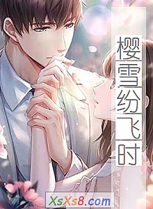 《樱雪纷飞时》小说封面