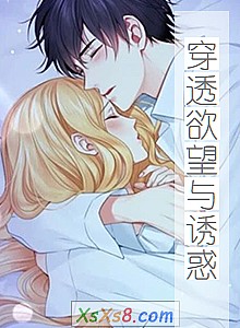 《穿透欲望与诱惑》小说封面