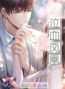 《泣血凤凰》小说封面