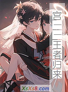 《宫——王者归来》小说封面