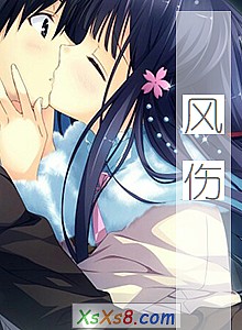 《风伤》小说封面