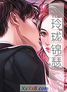 《玲珑锦瑟》小说封面