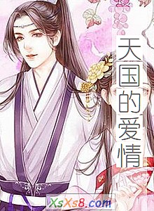 《天国的爱情》小说封面