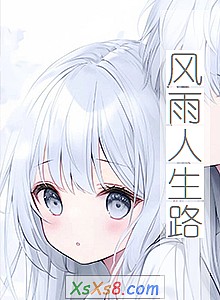 《风雨人生路》小说封面