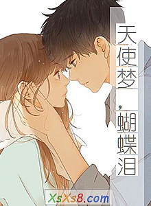 《天使梦,蝴蝶泪》小说封面