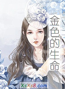 《金色的生命》小说封面