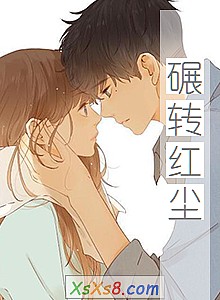 《碾转红尘》小说封面