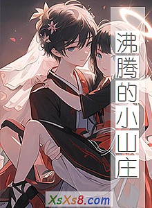 《沸腾的小山庄》小说封面