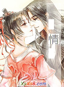 《情》小说封面