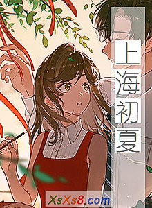 《上海初夏》小说封面