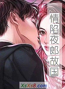 《情陷夜郎故国》小说封面