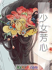 《少女芳心》小说封面