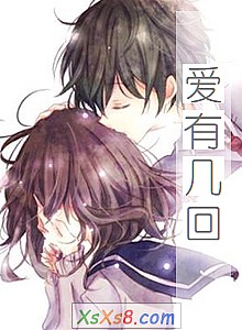 《爱有几回》小说封面