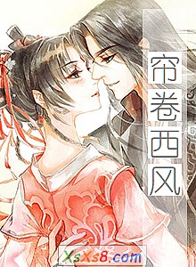《帘卷西风》小说封面