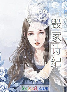 《毁家诗纪》小说封面