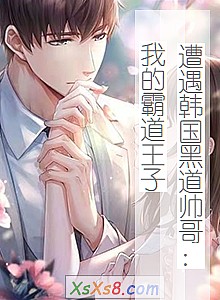 《遭遇韩国黑道帅哥:我的霸道王子》小说封面